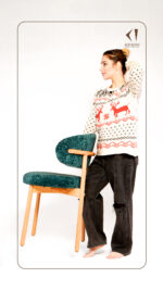 صندلی مدل آنیتا